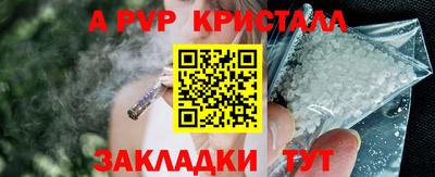 ГАЛЛЮЦИНОГЕННЫЕ ГРИБЫ Тара